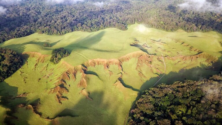 Estuaire : Cœur battant et mosaïque naturelle du Gabon